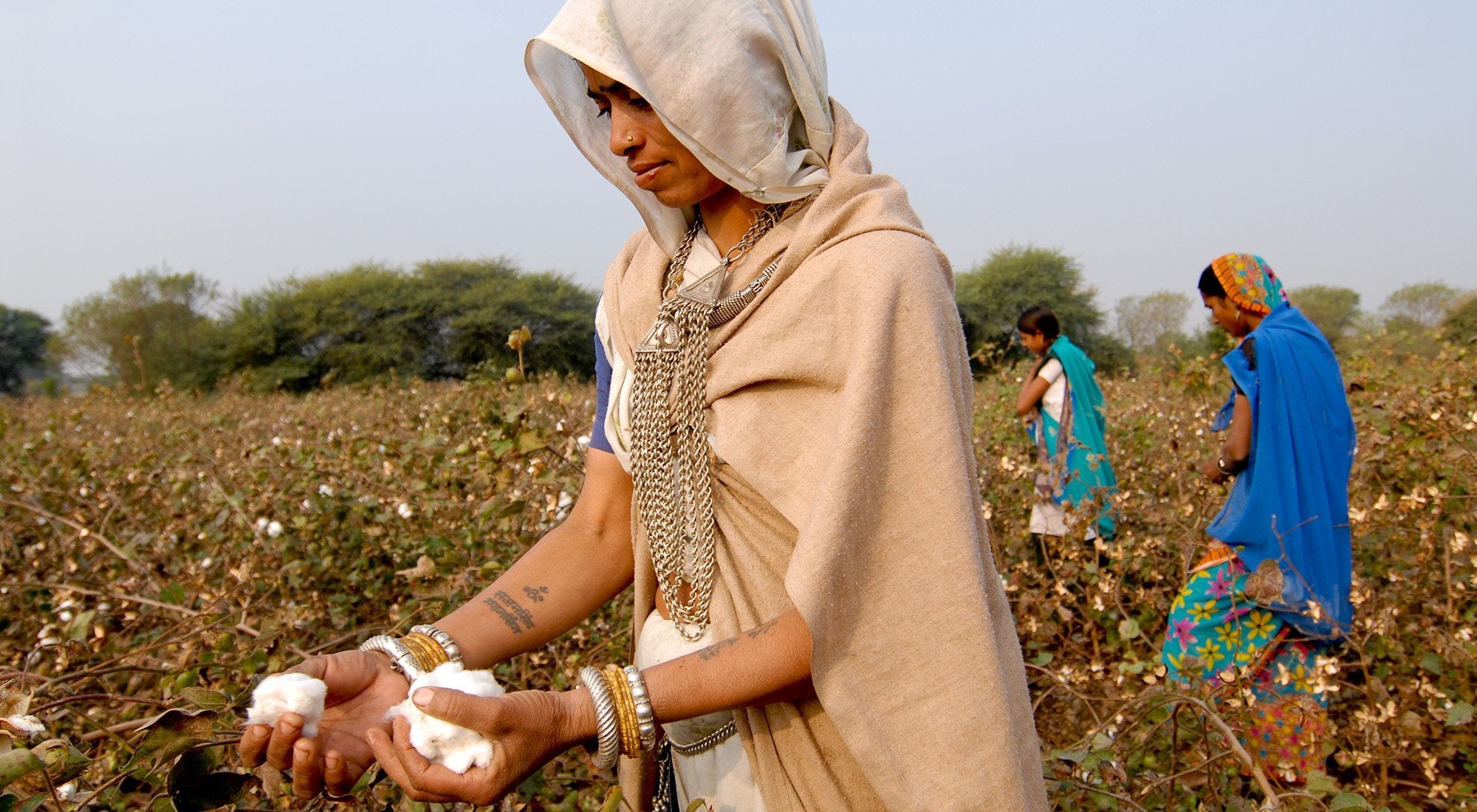 Where does our organic cotton come from?