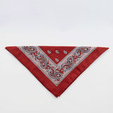 Bandana Glarus Rust