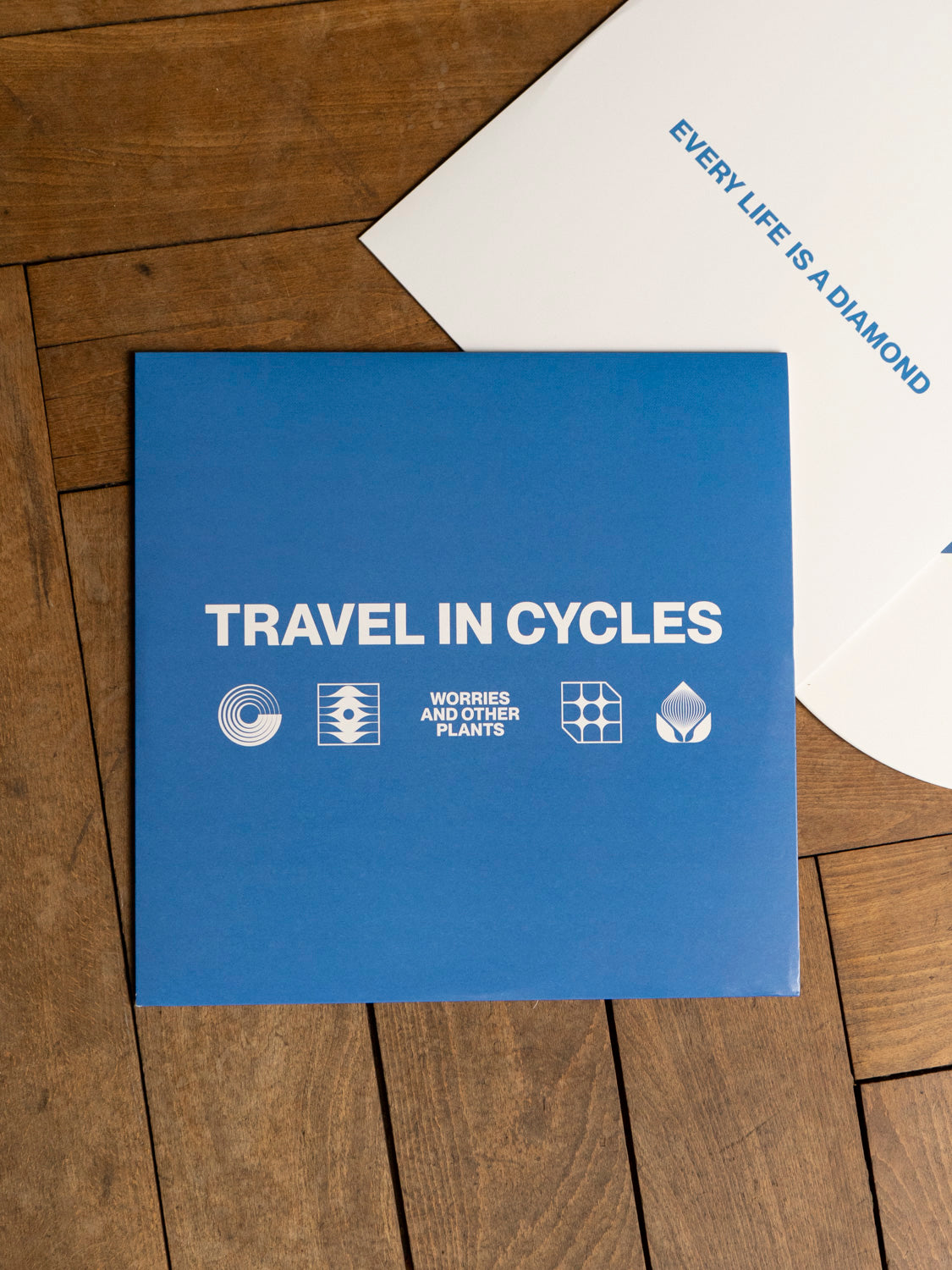 Vinyl: Worries And Other Plants – Travel In Cycles